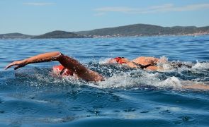 Număr record de înotători în râul Elba