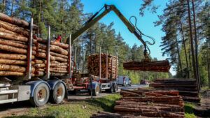 Ungaria autorizează o creștere a tăierii de lemne pentru foc