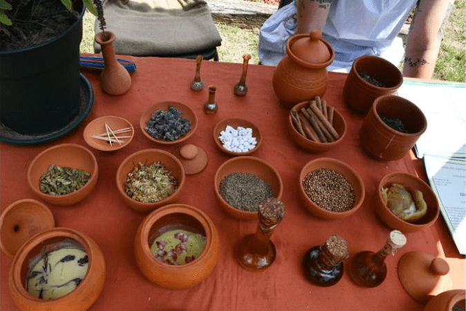 Foto: Curiozități despre plantele medicinale folosite de romani