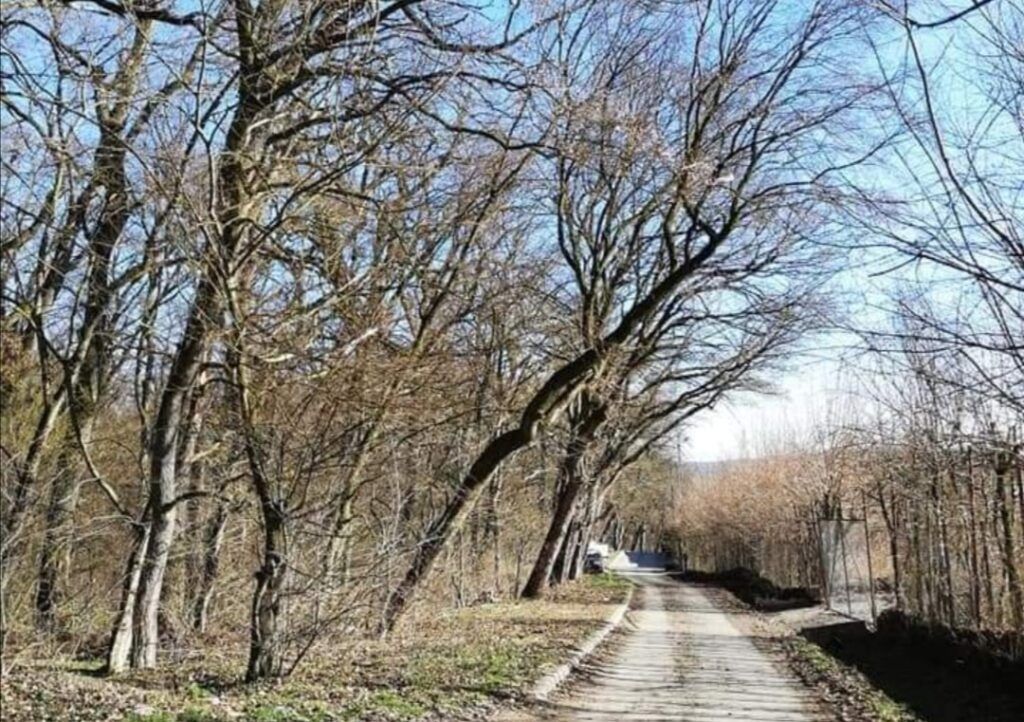 Pericol zilnic pe strada Subpădure din Târgu Mureș