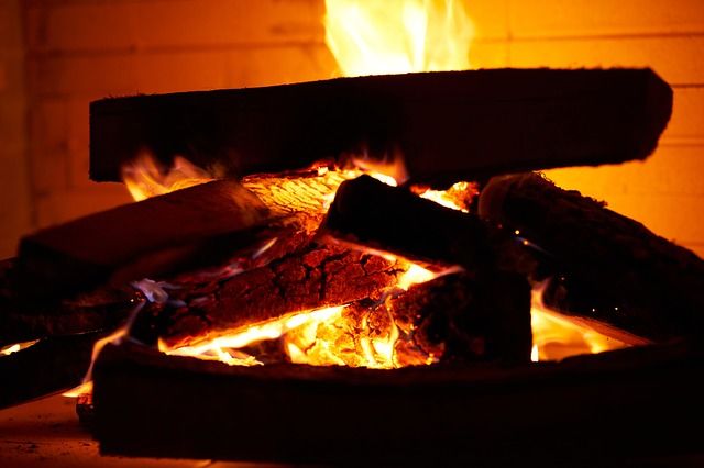 PMP cere Guvernului vouchere pentru familiile care se încălzesc cu lemn de foc