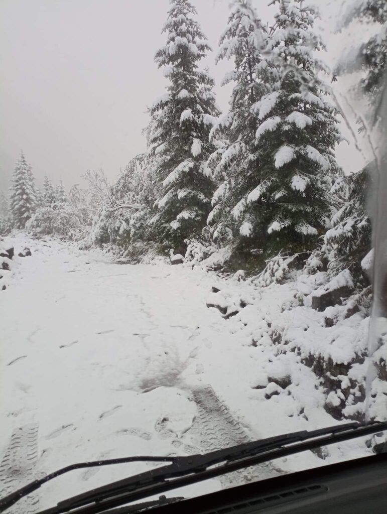 Zăpadă în județul Mureș