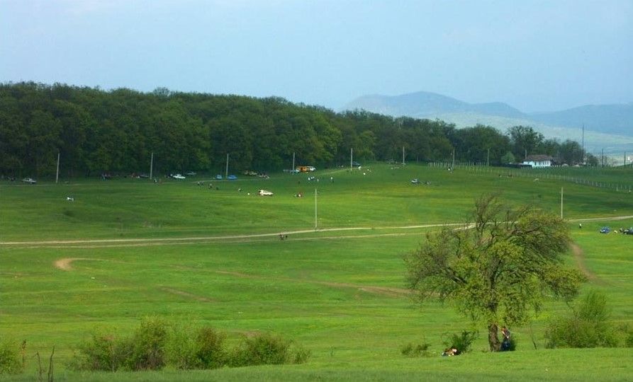 Parcul Pădurea Rotundă din Reghin, viitoare oază de agrement și recreere!