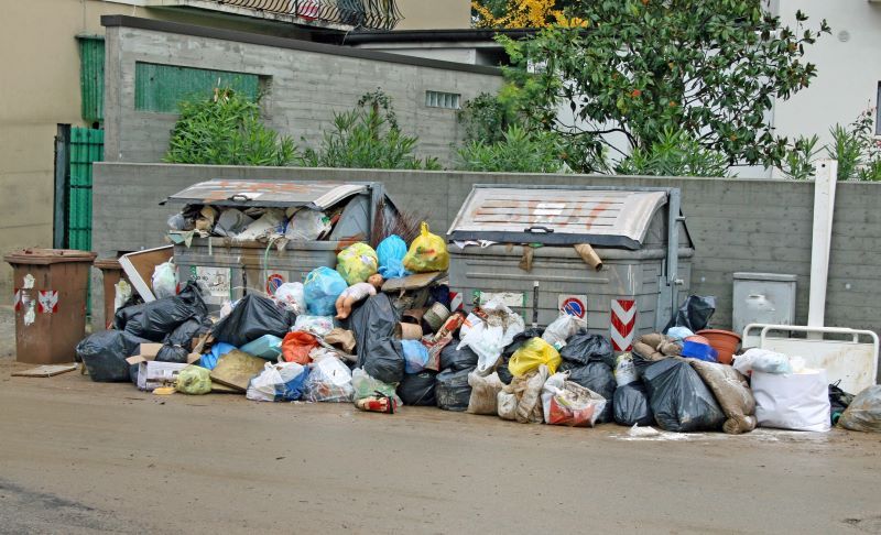 ATRIBUIRE. 9,2 milioane de lei pentru gestionarea deșeurilor municipale din zona 1 Sânpaul