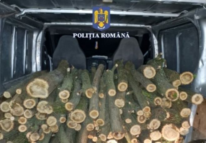 Mureșeni reținuți pentru furt de arbori