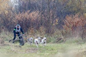 Oroian Liviu ne reprezintă la Campionatul Mondial de atelaj canin