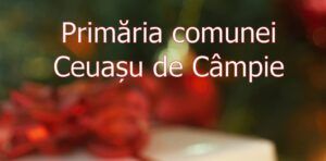 Primăria Ceuașu de Câmpie - ”Sărbători Fericite și un an nou cu bucurii!”