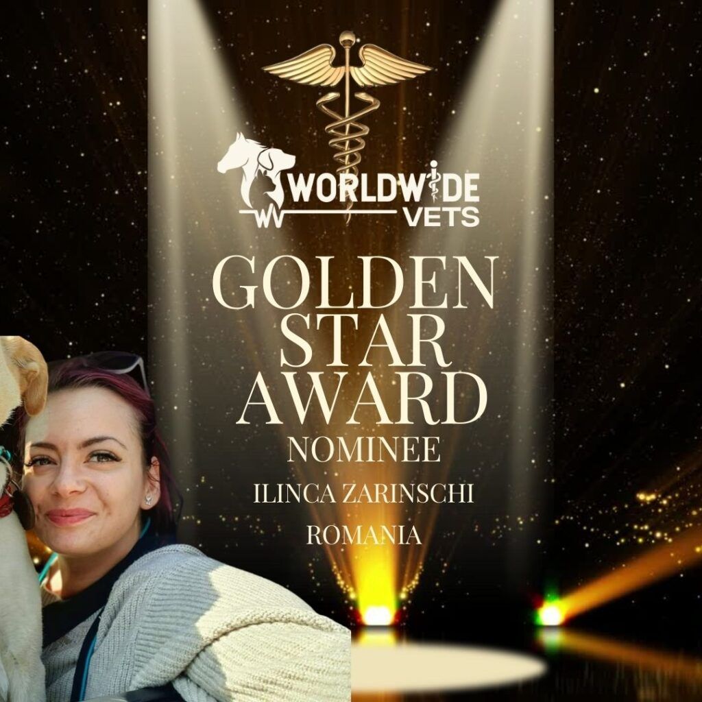 Ilinca Zarinschi nominalizată la WORLDWIDE VETS GOLDEN STAR AWARD. Votează!