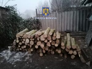 Furt de lemne în Chinari. Doi suspecți, reținuți de Poliție