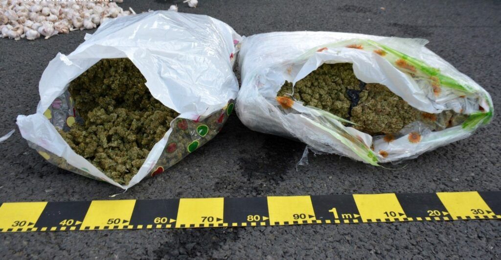 Bărbați reținuți pentru trafic de droguri. 1,7 kilograme de cannabis confiscate de Poliția Mureș!