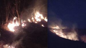Incendiu de vegetație pe 5 hectare de teren, în Târgu Mureș