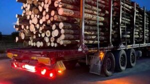 Transport ilicit de lemne interceptat de Poliția Brâncovenești