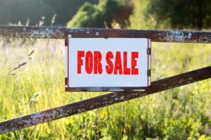 Pășune și fâneață de 8,3 hectare vândute prin licitație la Reghin