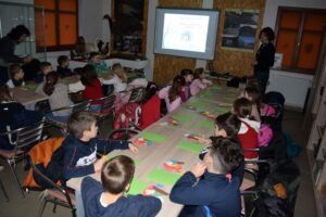 Târgu Mureș: Activități educative la Secția de Științele Naturii
