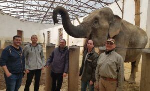 Îngrijitori de elefanți din străinătate, vizită la Zoo Târgu Mureș