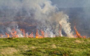 Mureș: 4,3 hectare de vegetație afectate de incendii