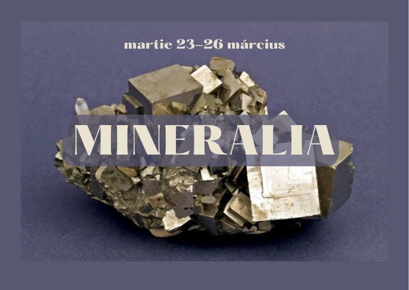 Expoziția ”Mineralia” revine la Târgu Mureș