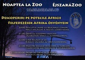 Noaptea la Zoo – Descoperiri pe potecile Africii