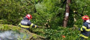 Copaci căzuți pe mai multe drumuri din județul Mureș