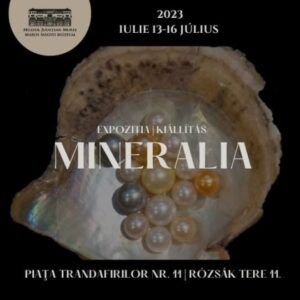 „Mineralia” revine la Târgu Mureș cu o ediție estivală