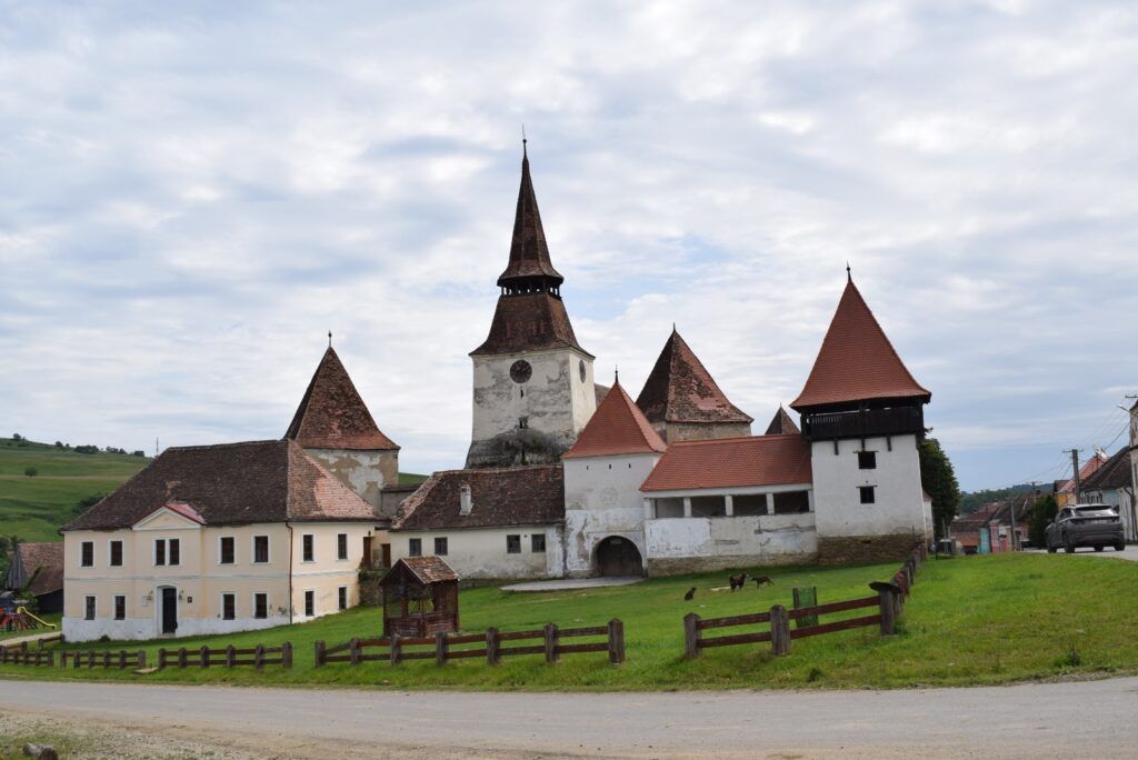 ITKI Academy World Heritage University, deschisă la Archita