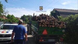 Trei bărbaţi bănuiţi că au furat lemn reţinuţi de poliţişti