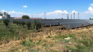 E.ON a finalizat trei centrale fotovoltaice pentru grupul AgranoLand, un proiect de peste 1 milion de euro