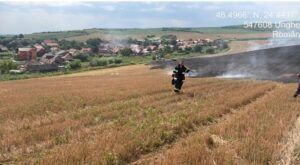 Incendiu de vegetație în Morești