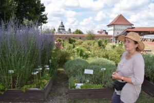 REPORTAJ. Grădină inedită cu plante medicinale și aromatice, la Târgu Mureș