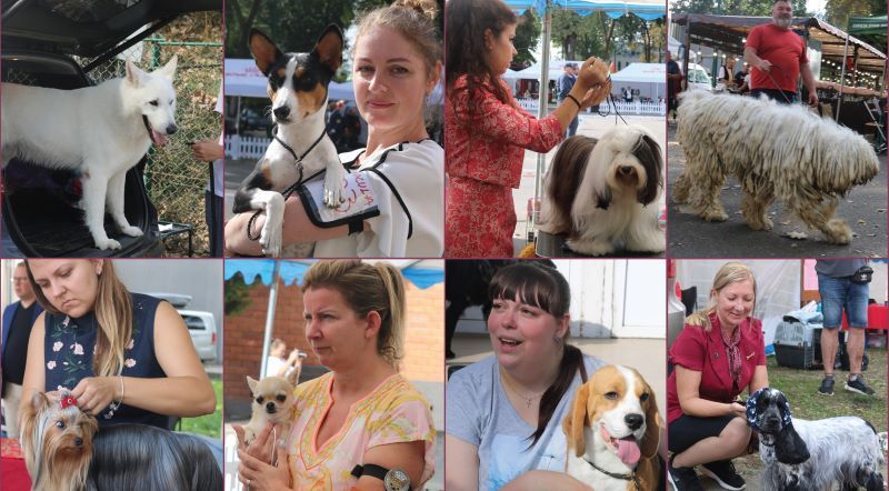 FOTOREPORTAJ: Pledoarie pentru iubirea dintre Om și Câine, la Târgu Mureș