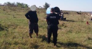 Zeci de amenzi aplicate de Poliția Locală Târgu Mureș