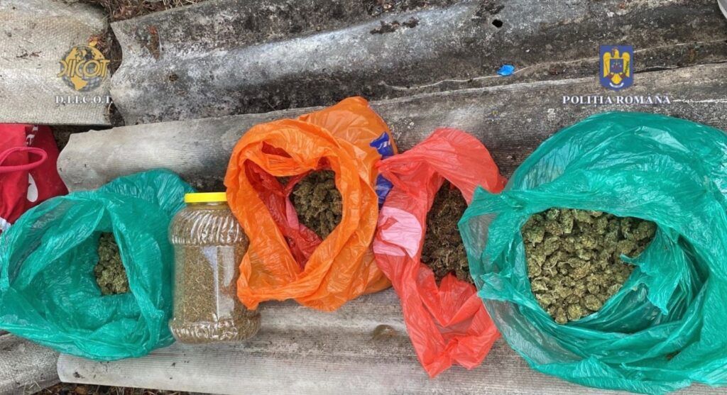 Prinşi în flagrant cu peste 5 kg de cannabis