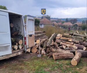 Pădurar de la Ocolul Silvic Târgu Mureș cercetat pentru tăiere ilegală de arbori