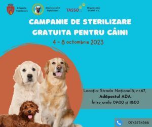 Campanie de sterilizare gratuită pentru câini la Sighișoara