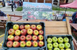 VIDEO, FOTO: Brandul comunei Batoș, cinstit cum se cuvine la Sărbătoarea Mărului