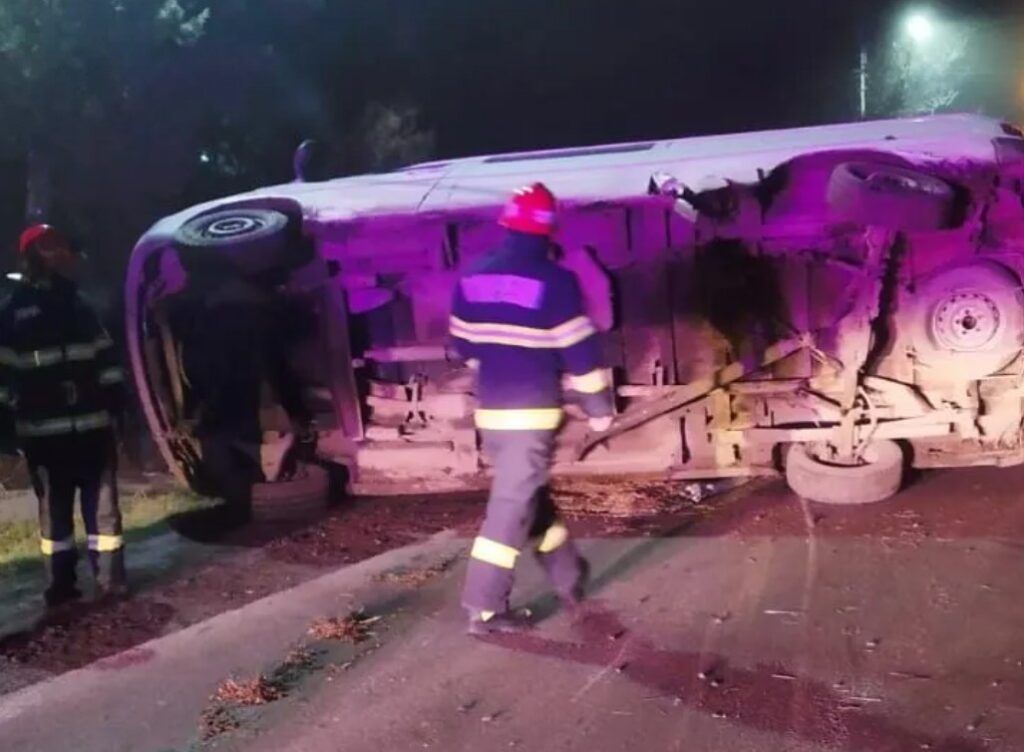 Accident în Șăulia de Câmpie. O bovina transportată de o autoutilitară, ucisă în urma impactului