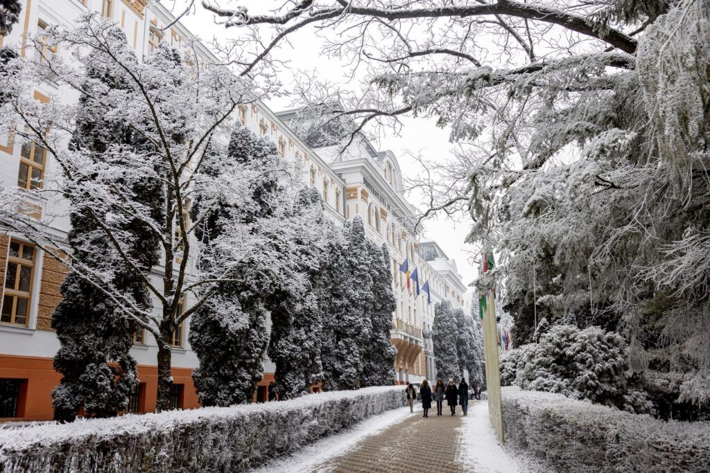 FOTO – Iarnă de vis în campusul UMFST!