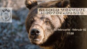 Zilele Ursului la Grădina Zoologică Târgu Mureș