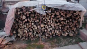 21 de percheziții în domeniu silvic, în județul Mureș