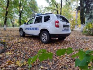 ”Scutul Pădurii” în județul Mureș: zeci de acțiuni de control în acest an!