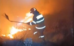 VIDEO: 20 de hectare de miriște și vegetație uscată arse într-un incendiu, lângă Scaunul Domnului