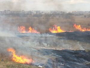 Incendii de vegetație în județul Mureș, în ultimele trei zile. Pompierii atrag atenția localnicilor