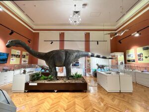 FOTO/VIDEO: În umbra giganților - Expoziția „Ultimii dinozauri din Transilvania” la Târgu Mureș