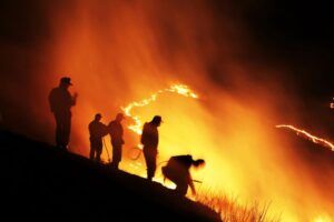 Incendiu pe 5 hectare de pădure, în zona Lăpușna-Ibănești