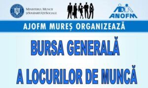 AJOFM Mureș: Bursa Generală a Locurilor de Muncă, organizată în luna mai
