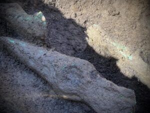 Descoperire arheologică în Mureș: Primul tezaur eneolitic descoprit în județ