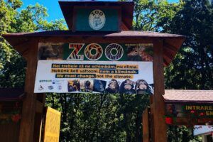 Peste 300 000 de vizitatori la Zoo anul trecut