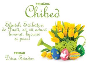 Primăria Chibed vă urează Sărbători fericite!